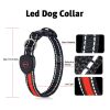 Blinking Flashing Pets Safety LED Adjustable Dog Collar  - Red - Pet supplies