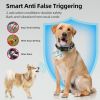 Colour Screen Rechargeable Dog Training Device Bark Collar - Black - Style B