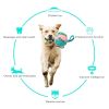 Dog Soccer Ball Interactive Pet Toys Foldable Ball Molar Toy Outdoor Training Ball for Puppy Dog Chew Dog Accessories - Blue