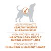 Purina ONE Plus Healthy Weight Dog Food Dry Formula - Purina ONE